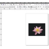 CorelDRAW怎么将图片转换成手绘临摹图？