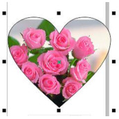 CorelDRAW如何去除X线？CorelDRAW去除X线的方法介绍