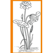 CDR如何快速勾取线条图？CDR快速勾取线条图的方法