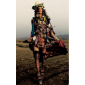 CDR如何添加闪电裂纹效果？CDR给图像添加闪电裂纹教程