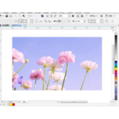 CorelDRAW如何等分分割图片？CorelDRAW等分分割图片的方法