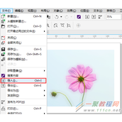 CorelDRAW如何快速去除图片背景颜色？CDR快速去除图片背景颜色的方法