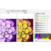 CorelDRAW如何调色？CDR调整图像颜色的方法
