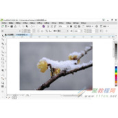 CorelDRAW简单制作路径文字教程
