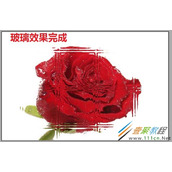 AI给图片添加玻璃效果的方法介绍