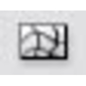 Illustrator利用渐变网格绘制苹果教程