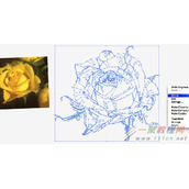 Illustrator绘制有型有色的抽象派玫瑰花效果教程
