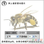 llustrator设计蜜蜂插画海报效果绘制教程