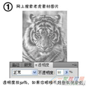 Illustrator设计绘制老虎技巧教程分享