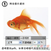 Illustrator设计绘制金鱼环保海报教程分享