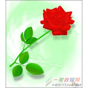 Illustrator绘制漂亮的玫瑰花教程