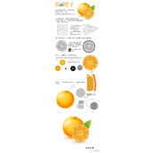 Illustrator设计逼真橙子绘制教程分享