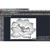 CAD曲线工具绘制荷花图案操作教程