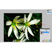 ps给图片添加棉布的纹理效果的方法介绍