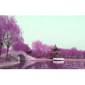 iSee如何给图片添加蓝绿交换特效