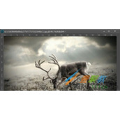 PS如何将一张模糊图片变清晰