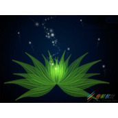 ps手绘创意的绿色花朵的方法