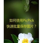 PicPick如何批量保存图片