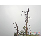 PS分层云彩滤镜制作闪电效果的方法