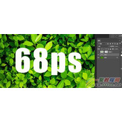 ps如何设计半隐在绿叶中的文字效果