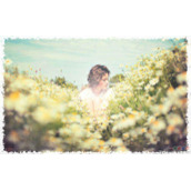 如何用PS制作创意的风吹特效照片边框