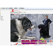 可牛影像场景怎么下载  下载方法