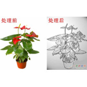 PS制作有质感的金属画