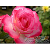 怎么使用彩影制作变色效果?