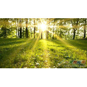 家电/手机/电脑/路由器辐射哪相最小最好