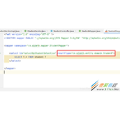 mybatis.type-aliases-package的作用及用法代码示例