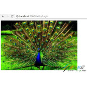 将InputStream转化为base64代码实例