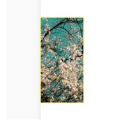 vue如何实现点击翻转效果 vue实现点击翻转效果代码示例