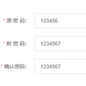 Vue两个字段联合校验之修改密码功能代码实现
