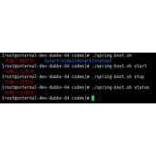 Spring Boot启动、停止、重启、状态脚本代码示例