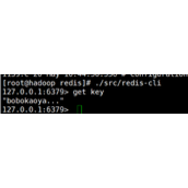 SpringBoot整合SpringDataRedis代码示例