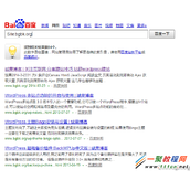 搜索引擎之Site 和 Filetype的使用例子