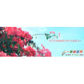 网站内容不被收录原因问题分析