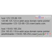 怎么正确识别百度蜘蛛  百度蜘蛛爬去规律