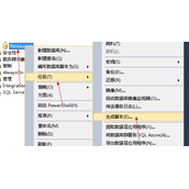 sql 2010数据库怎么导入到sql2005中