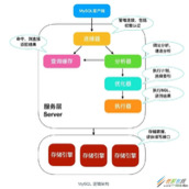 MySQL中一条update语句执行代码