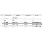 MySQL确定VARCHAR大小问题代码示例