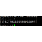 基于MySql验证的vsftpd虚拟用户代码示例