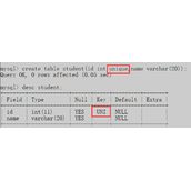 MySQL中常见的六个约束类型代码示例解析