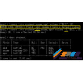 MySQL完整性约束的定义代码实例教程