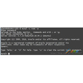 mysql的登陆和退出命令格式代码示例