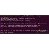 ubuntu如何安装mysql数据库 ubuntu安装mysql数据库方法