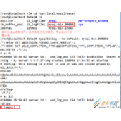 mysql增量备份及断点恢复脚本实例
