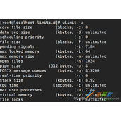 Mongodb崩溃报错Too many open files问题代码解析