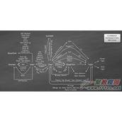 为什么知乎做起来了?市场竞争的魅力和价值