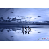 mip-accordion 折叠节点详解